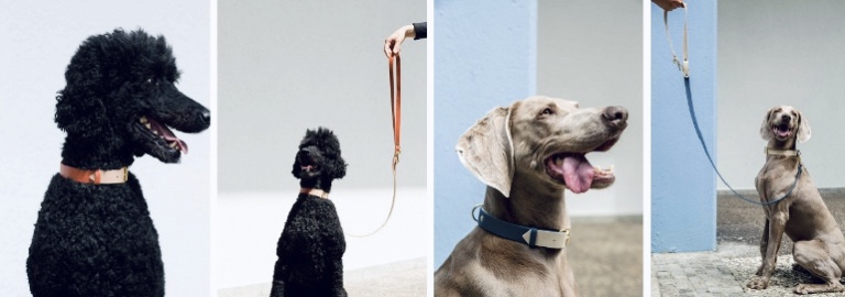 Total romanforfatter Land med statsborgerskab Hund Hund: Redefining Fashion with Eco-Consciousness and Quality – TITLE MAG