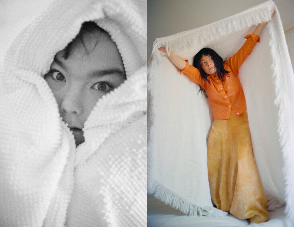Björk by Spike Jonze, the day I met Björk - Avant-Garde in All its Glory: In Praise of Björk