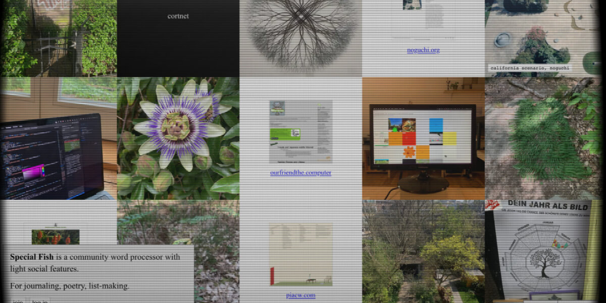 Discover the weird and wonderful internet through a collage of indie websites, digital art, underground archives, and creative online spaces.